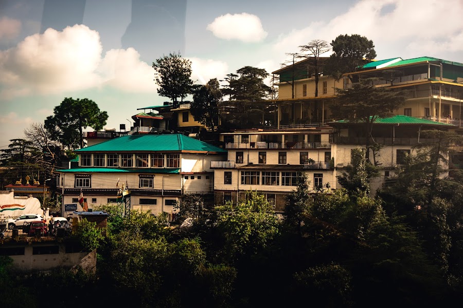 Namgyal Monastery - Photo 4