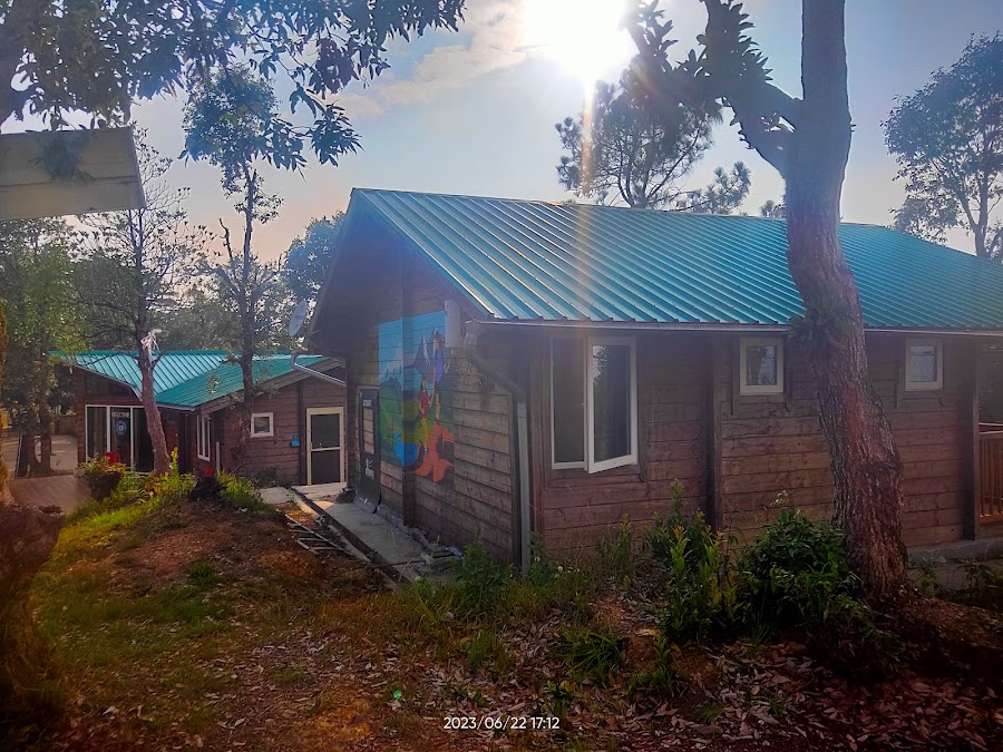 Abbott Mount - Photo 7