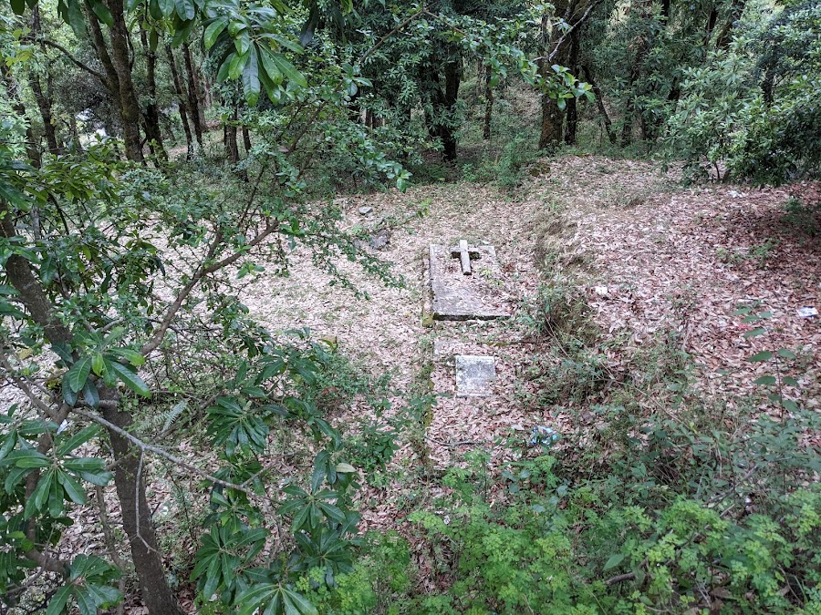 Abbott Mount - Photo 4
