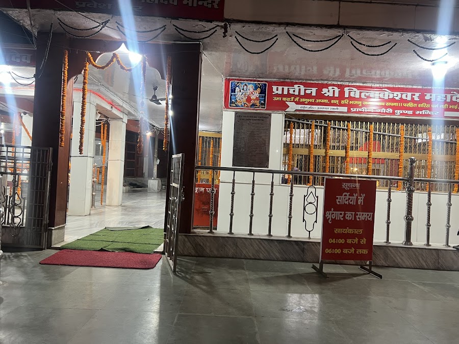 Bilkeshwar Mahadev Temple - Photo 7