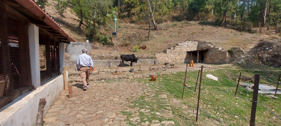 Lakshmi Ashram - Photo 6