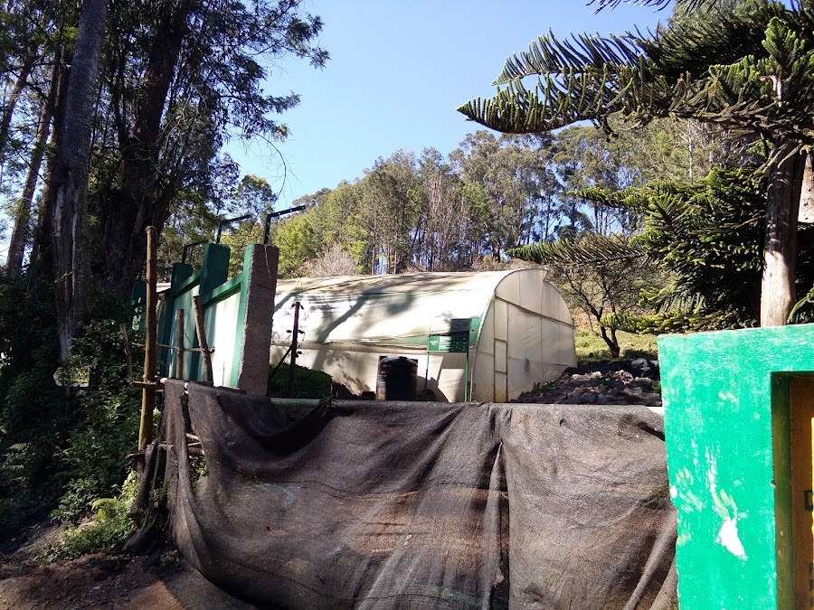 Pomological Station - Photo 3