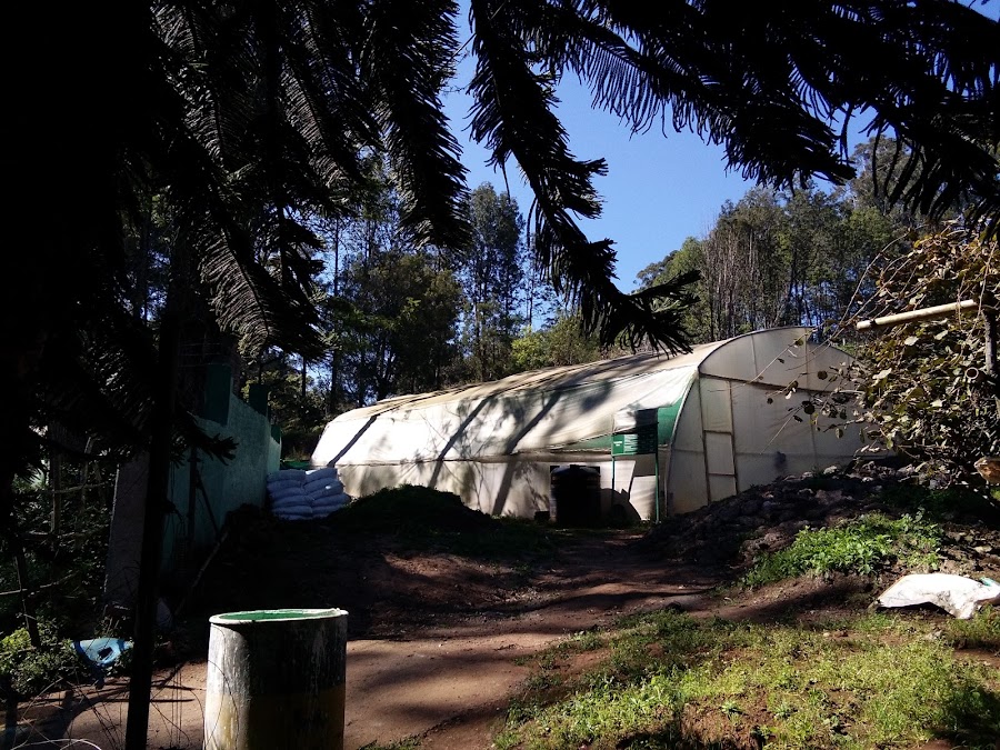 Pomological Station - Photo 4