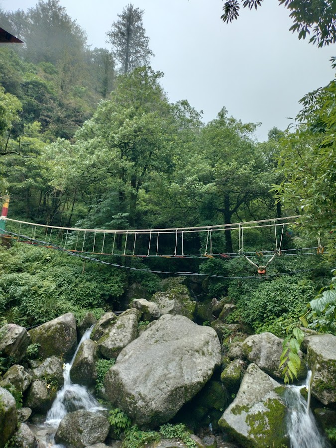 Panchpula - Photo 4
