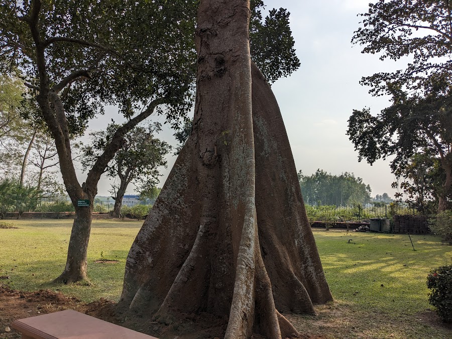 Radhamadhab Temple - Photo 3