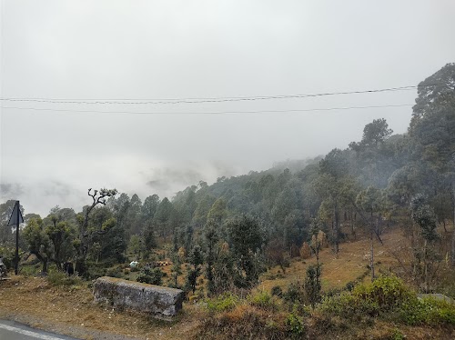 Bijaypur - Photo 3