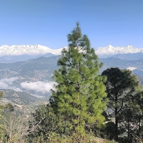 Bijaypur - Photo 2