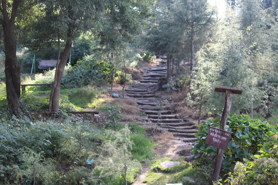 Eco Park - Photo 8