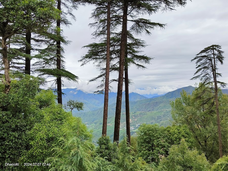 Eco Park - Photo 6