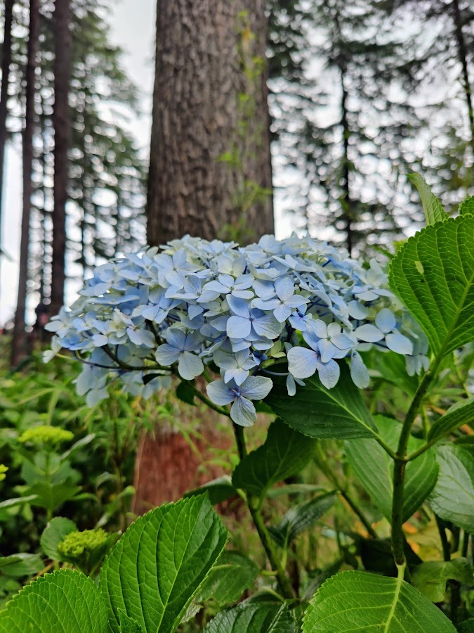 Eco Park - Photo 3
