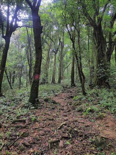 Nokrek National Park (Access from Baghmara) - Photo 3