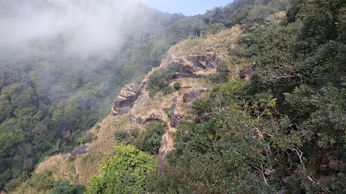 Nokrek National Park (Access from Baghmara) - Photo 2