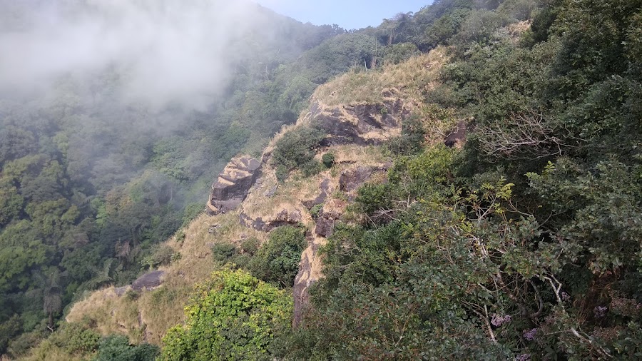 Nokrek National Park - Photo 2