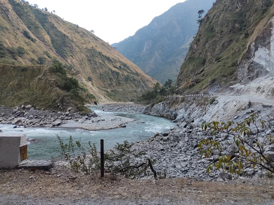 Jauljibi