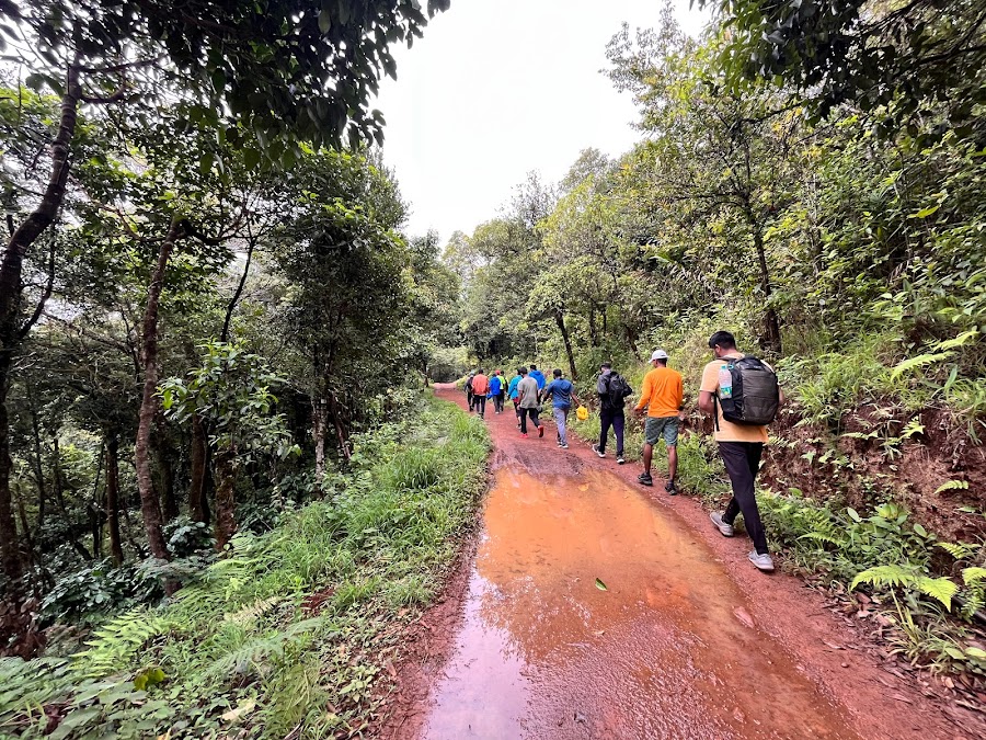 Tadiyandamol Peak - Photo 2