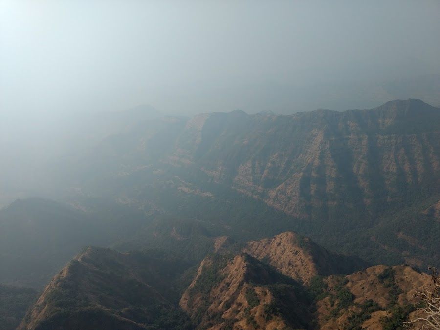 Elphinstone Point - Photo 3