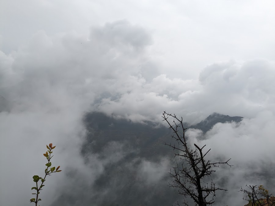 Elphinstone Point - Photo 4