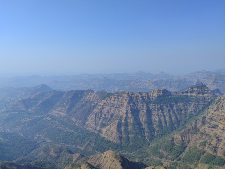 Elphinstone Point - Photo 2
