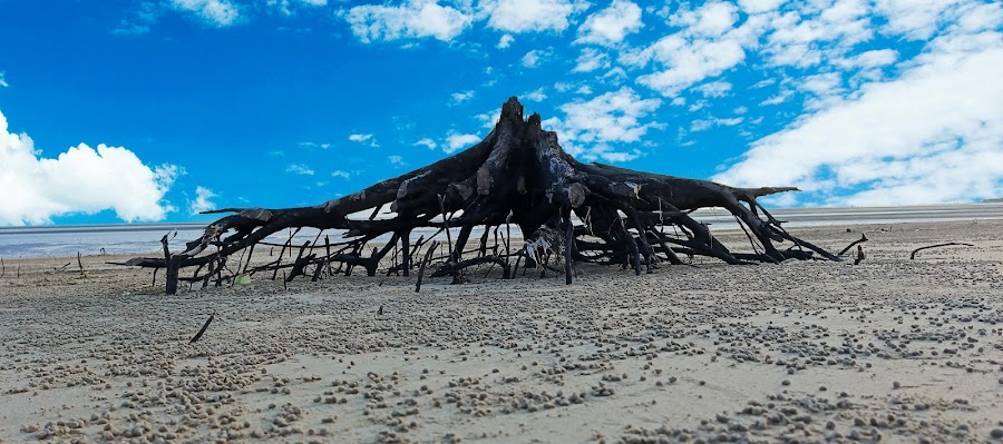 Red Crab Beach - Photo 9