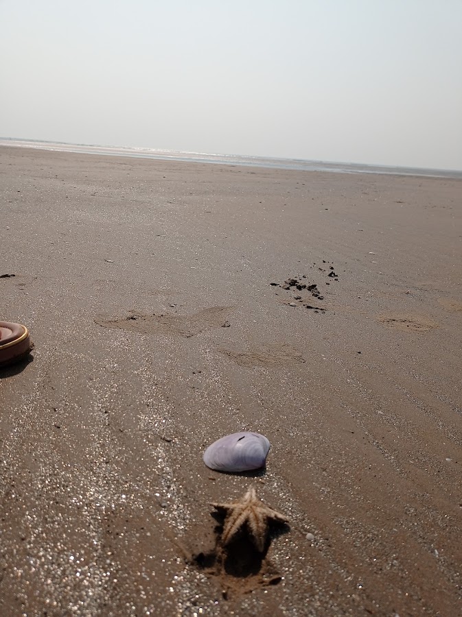 Red Crab Beach - Photo 6