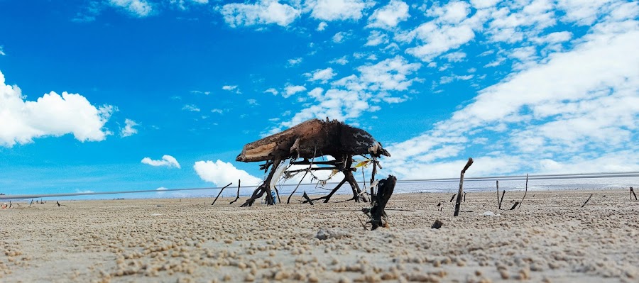 Red Crab Beach - Photo 5