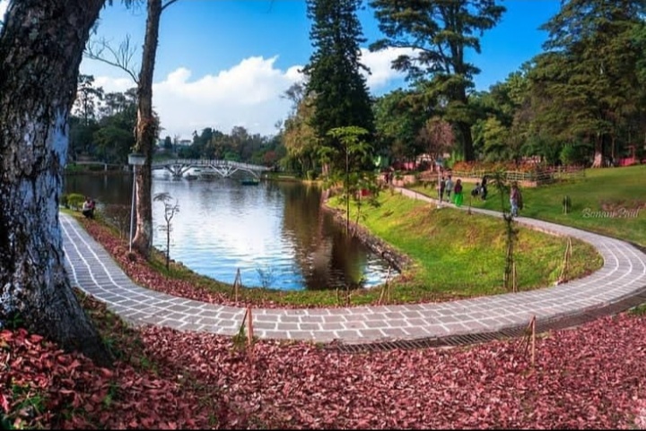 Ward's Lake - Photo 2