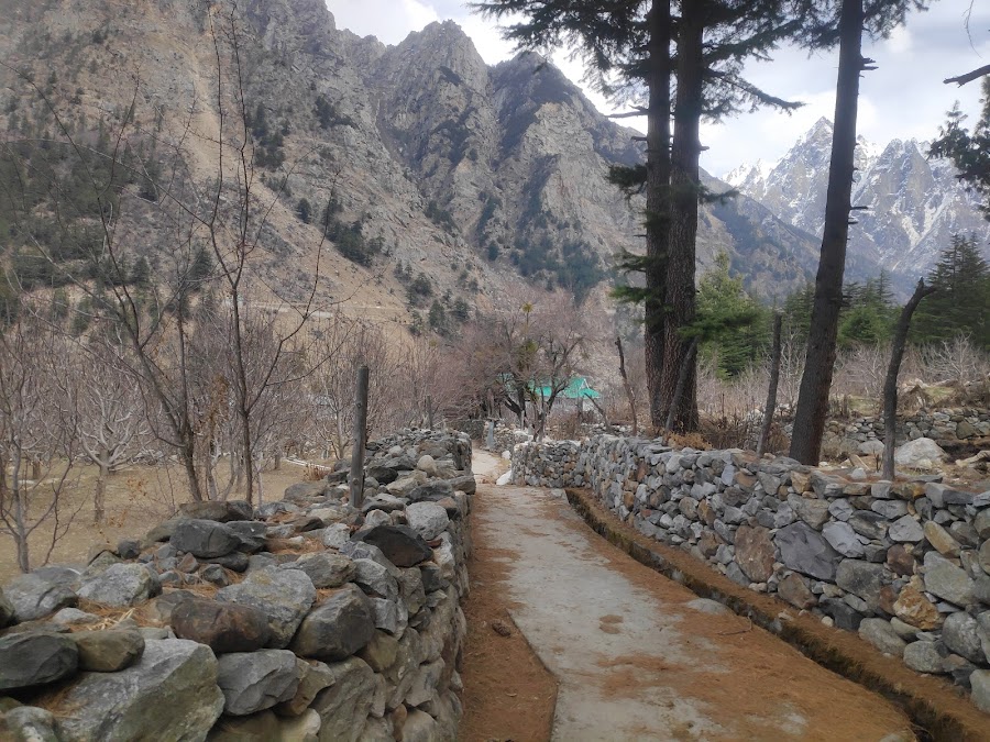 Batseri Village - Photo 3