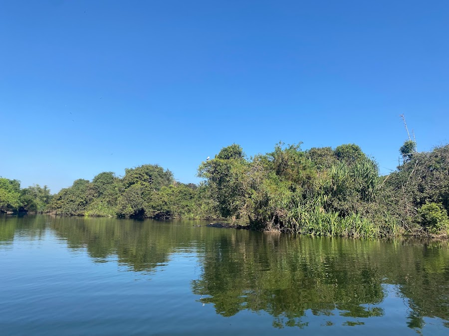 Ranganathittu Bird Sanctuary - Photo 3