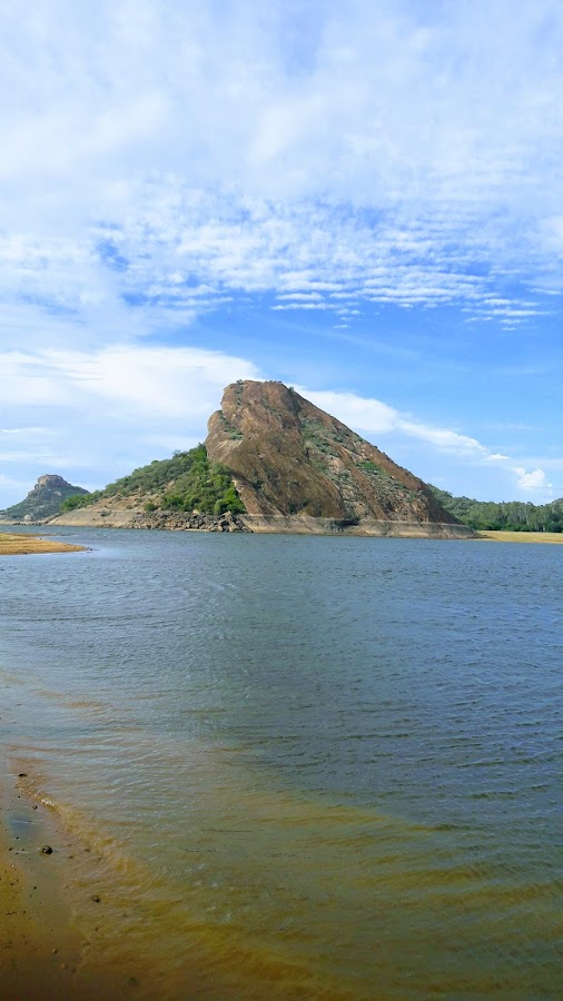 Anamalai Tiger Reserve - Photo 3