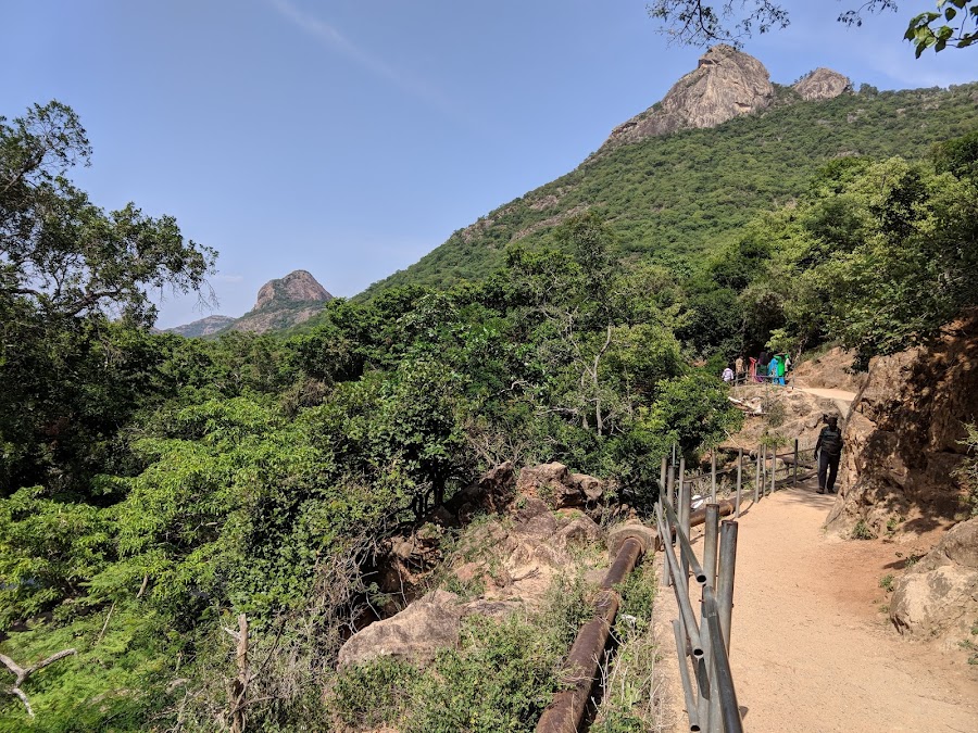 Anamalai Tiger Reserve - Photo 4
