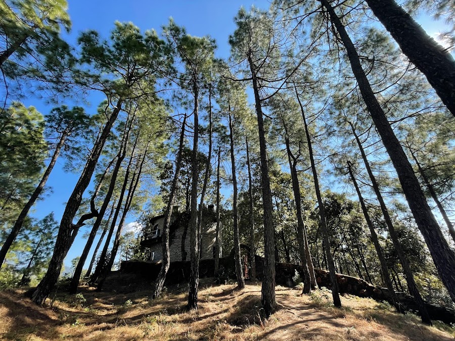 Khali Estate - Photo 8