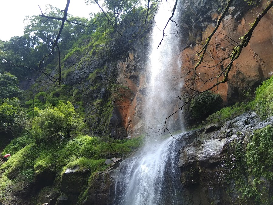 Radhanagari Wildlife Sanctuary - Photo 3