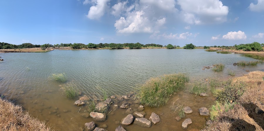 Radhanagari Wildlife Sanctuary - Photo 4