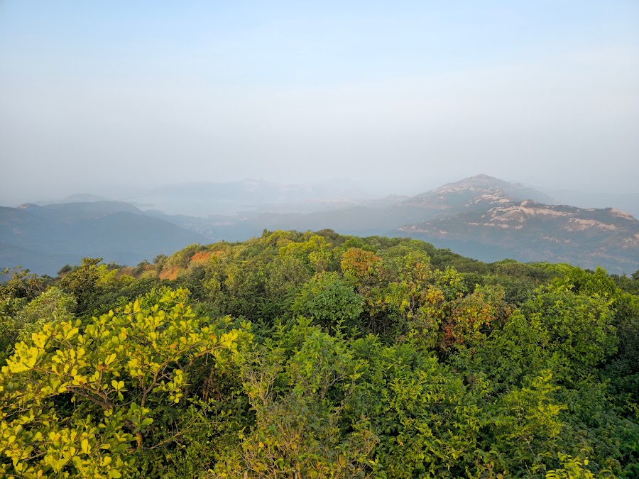 Radhanagari Wildlife Sanctuary - Photo 2
