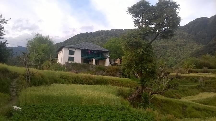 Dharmalaya Institute - Photo 4