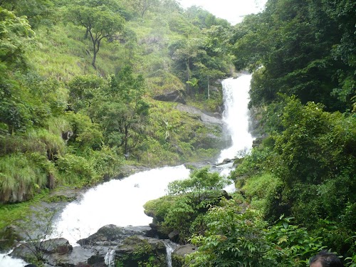 Wayanad - Photo 4