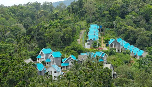 Wayanad - Photo 8