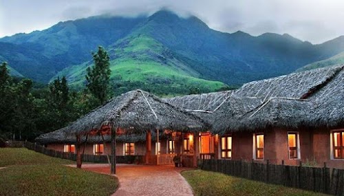 Wayanad - Photo 7