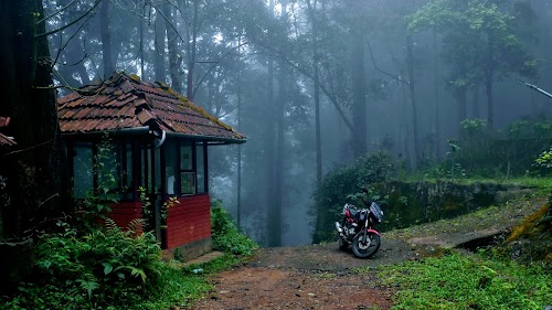 Wayanad - Photo 6