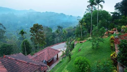Wayanad - Photo 3