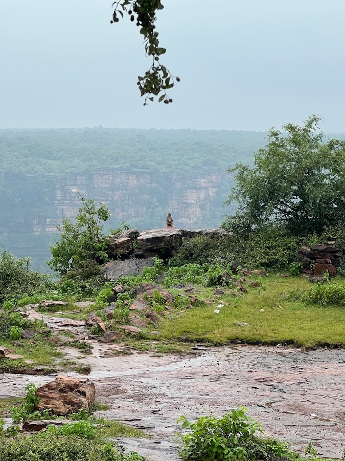 Chachai Waterfall - Photo 3