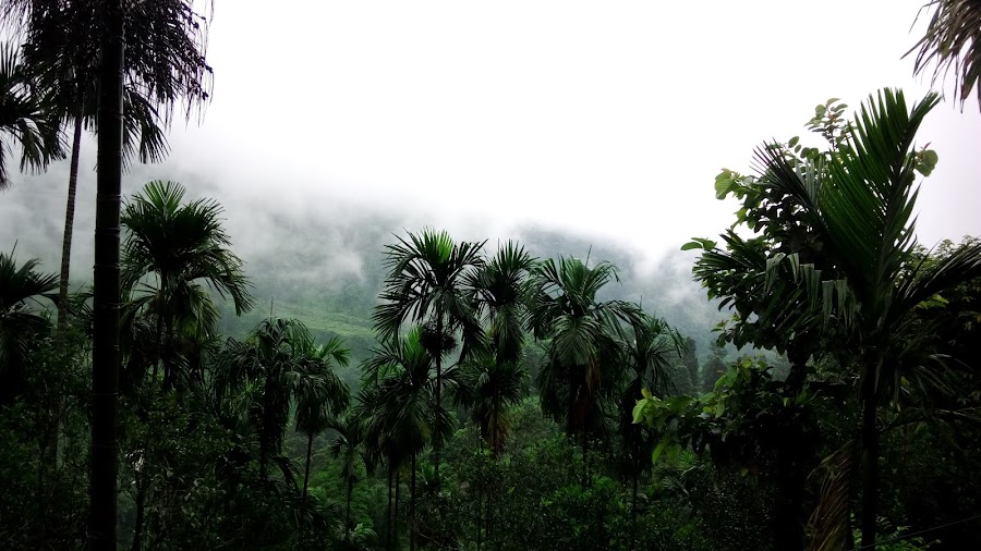 Samsing - Photo 5