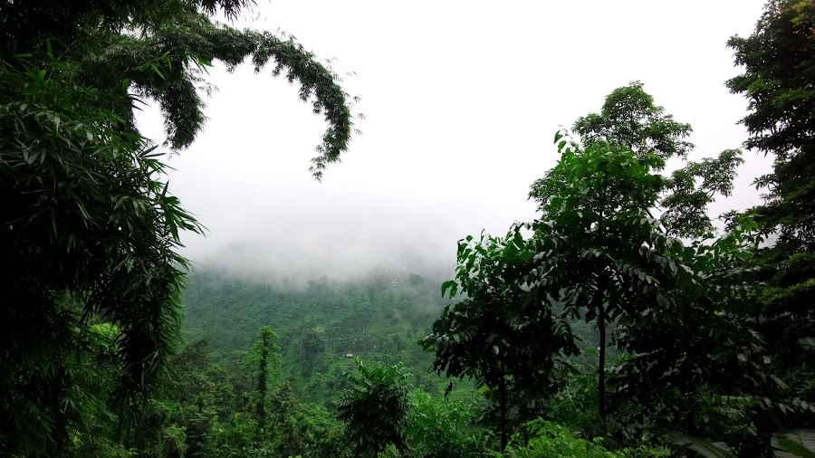 Samsing - Photo 8