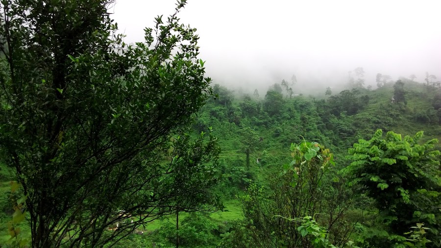 Samsing - Photo 4