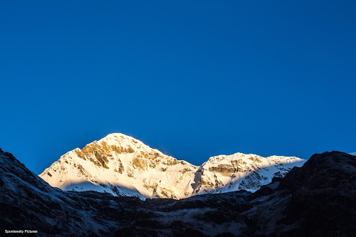 Pindari Glacier - Photo 7