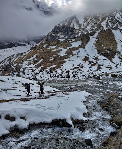 Pindari Glacier - Photo 9