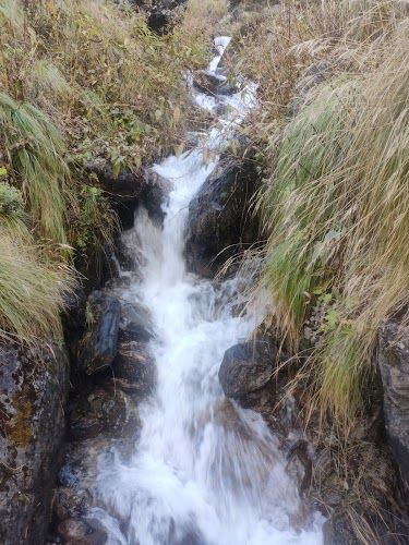 Pindari Glacier - Photo 8