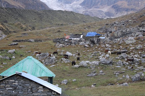 Pindari Glacier - Photo 3