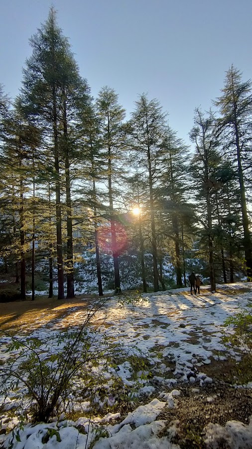 Chandak - Photo 3