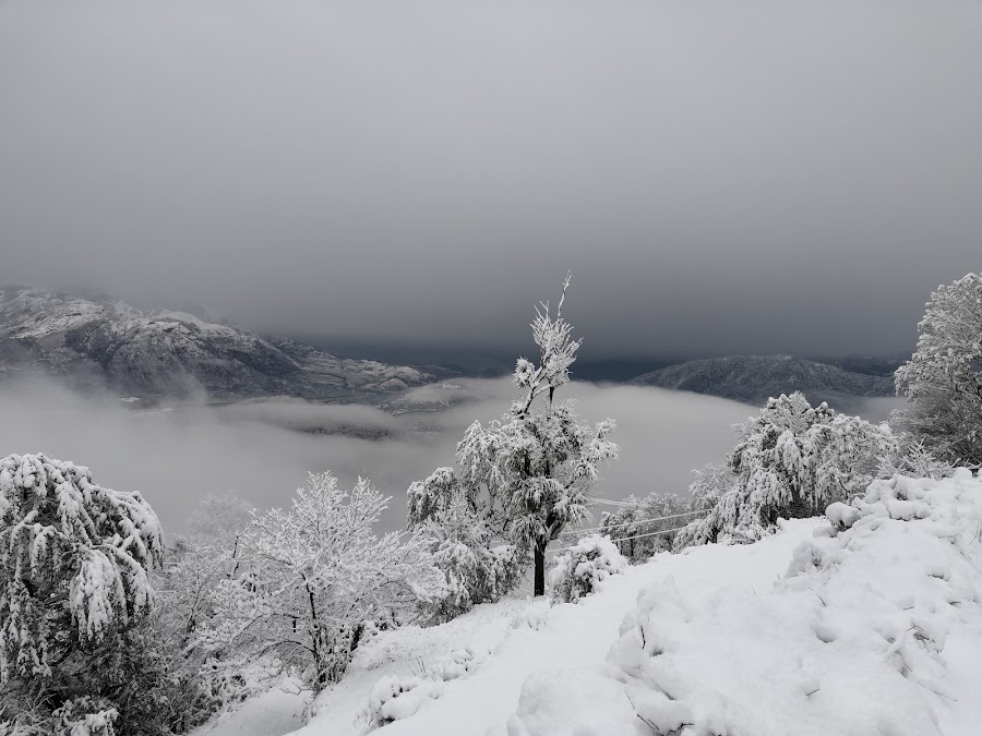 Chandak - Photo 8